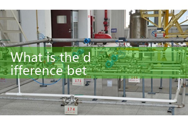 flow rate gauge